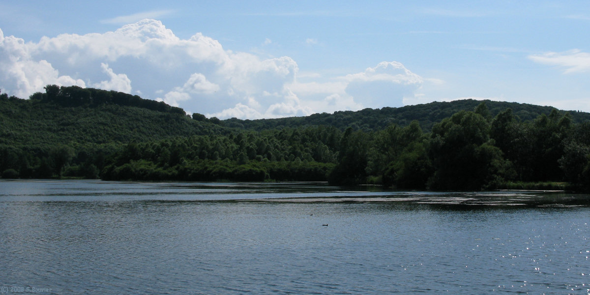 Bouvaincourt sur Bresle (Etang)