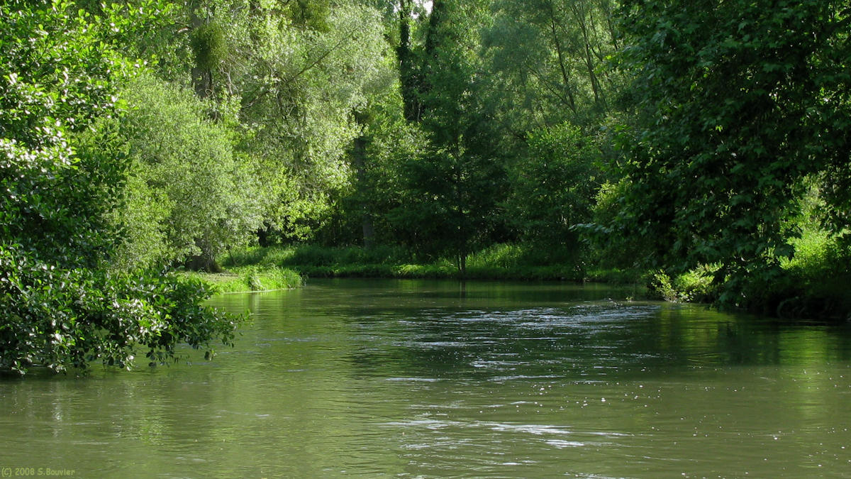 Bouvaincourt sur Bresle (la Bresle)