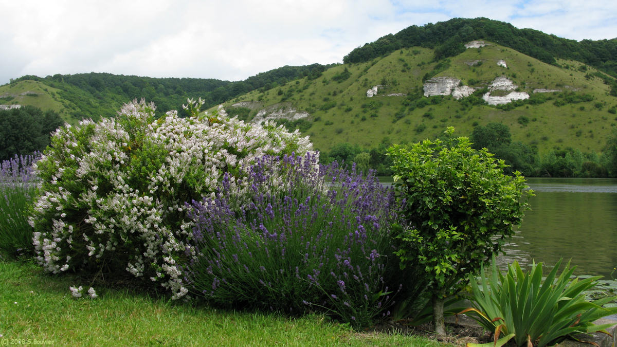 Amfreville sous les Monts (Roches 5)