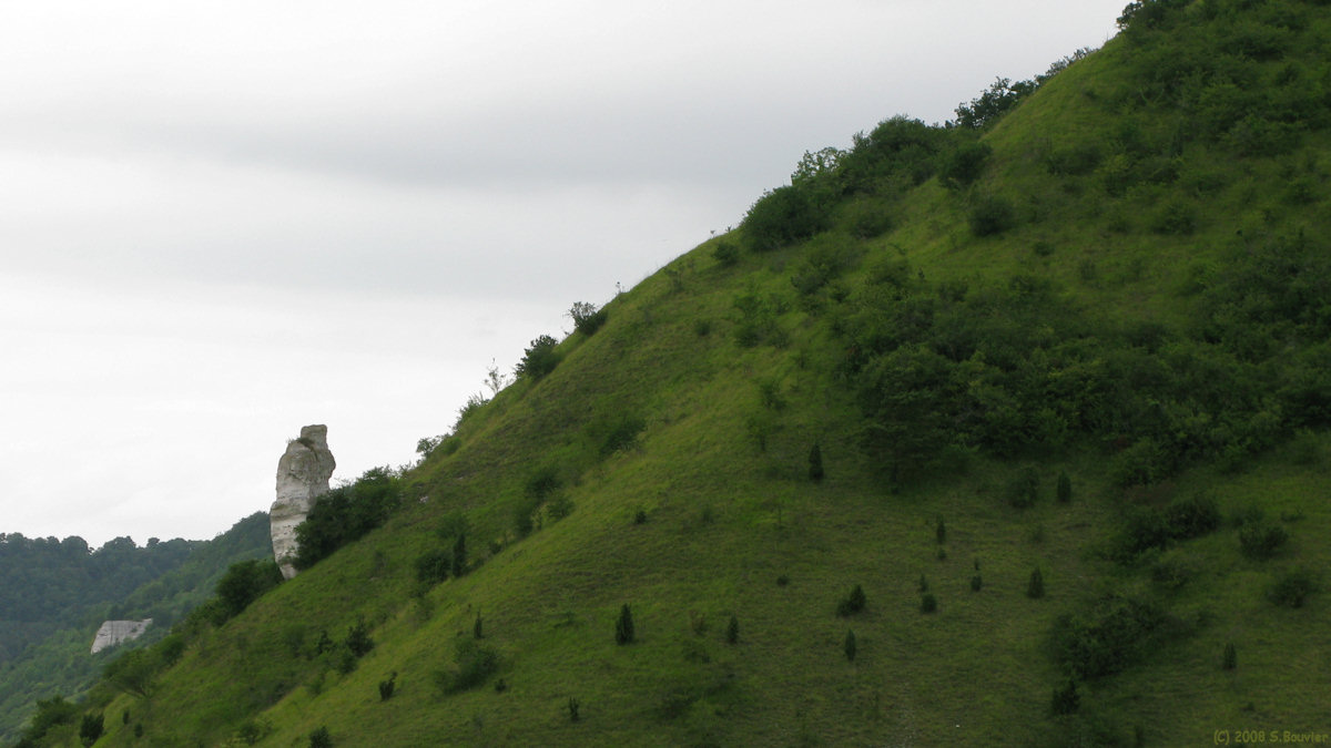Amfreville sous les Monts (Roches 6)