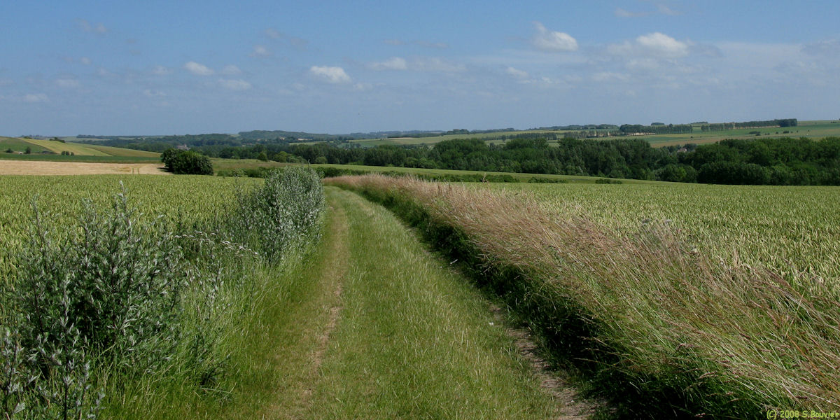 Neufmoulin (Chemin)