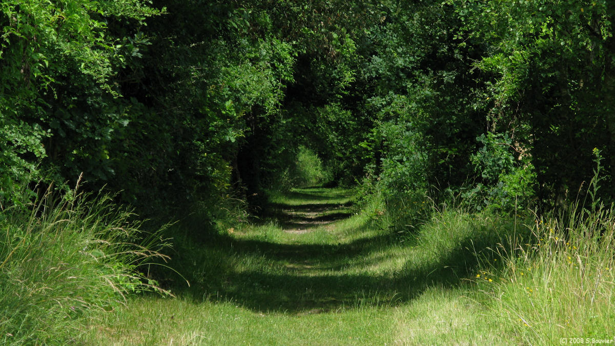 St Martin le Gaillard (Chemin)