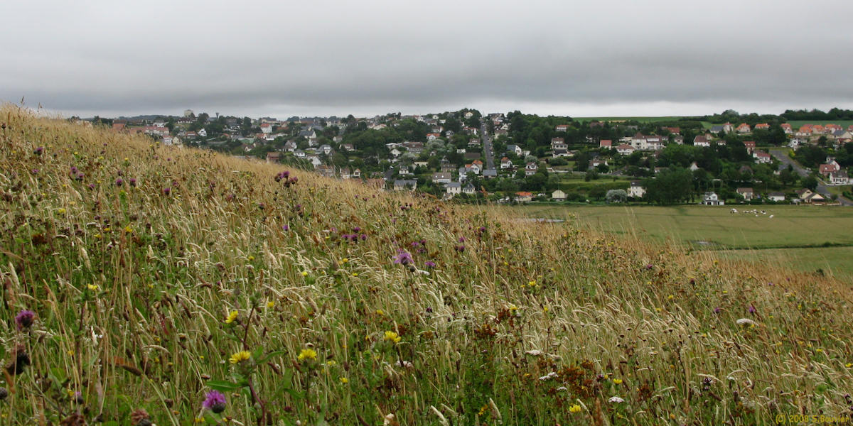 Criel-Plage (2)