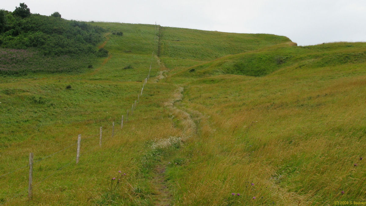 Criel sur Mer (Sentier 1)