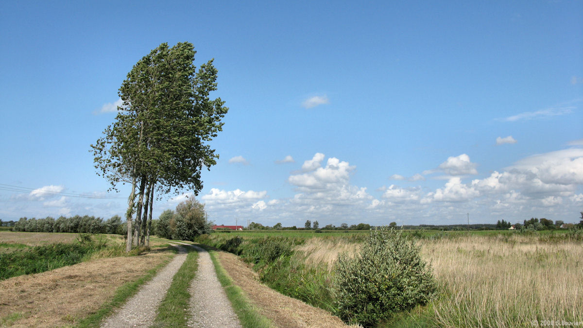 Quend (Chemin 1)