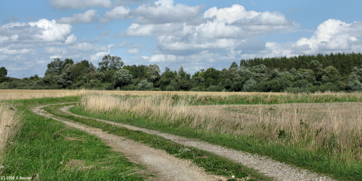 Quend (Chemin 2)