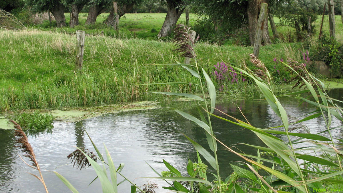 Villers sur Authie (Canal 2)