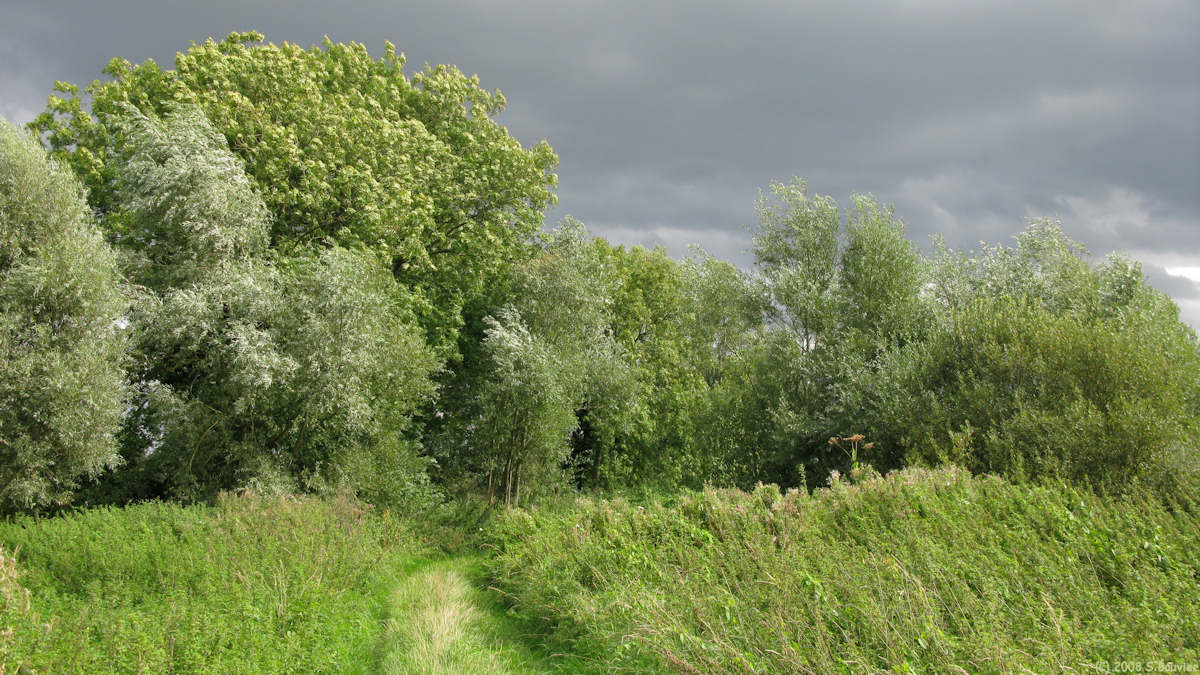 Villers sur Authie (Chemin)
