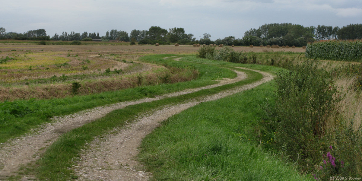 Quend (Chemin 3)