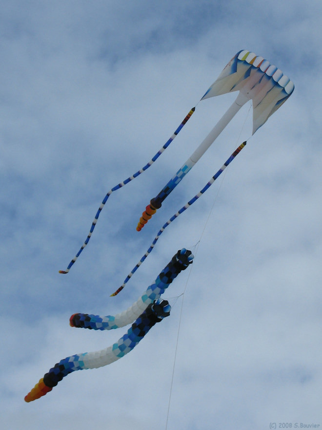 Dieppe (Cerfs-Volants 3)