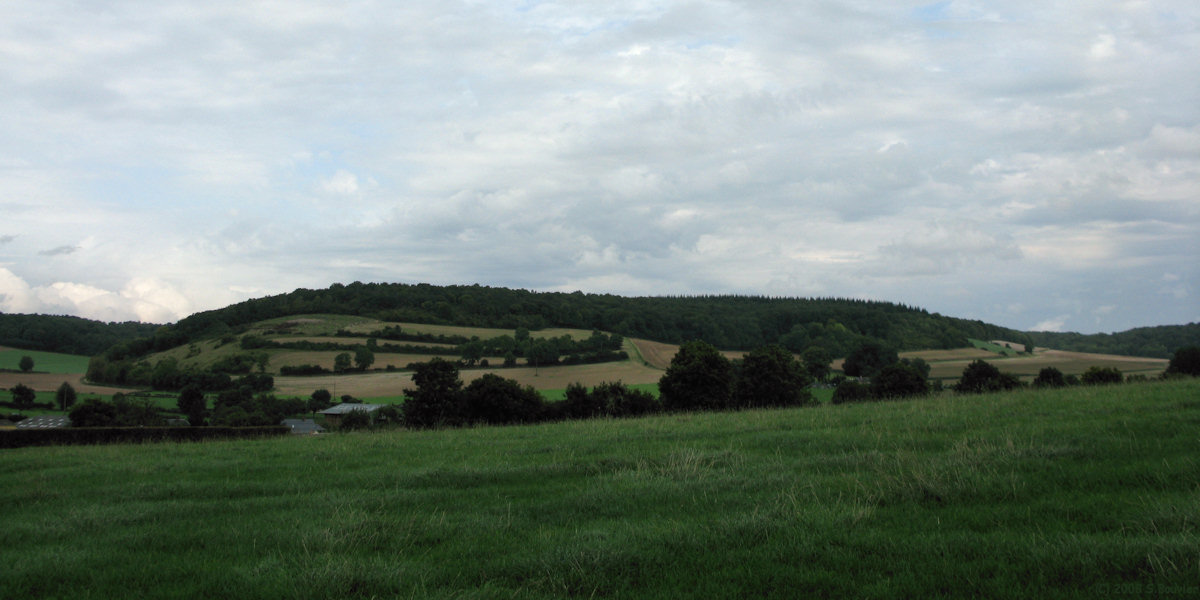 Beaussault (Bois)