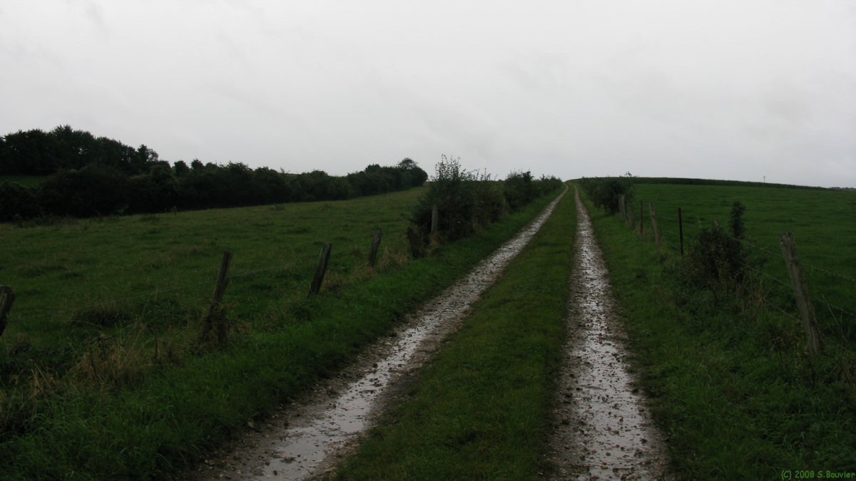 Flamets-Frétils (Chemin)