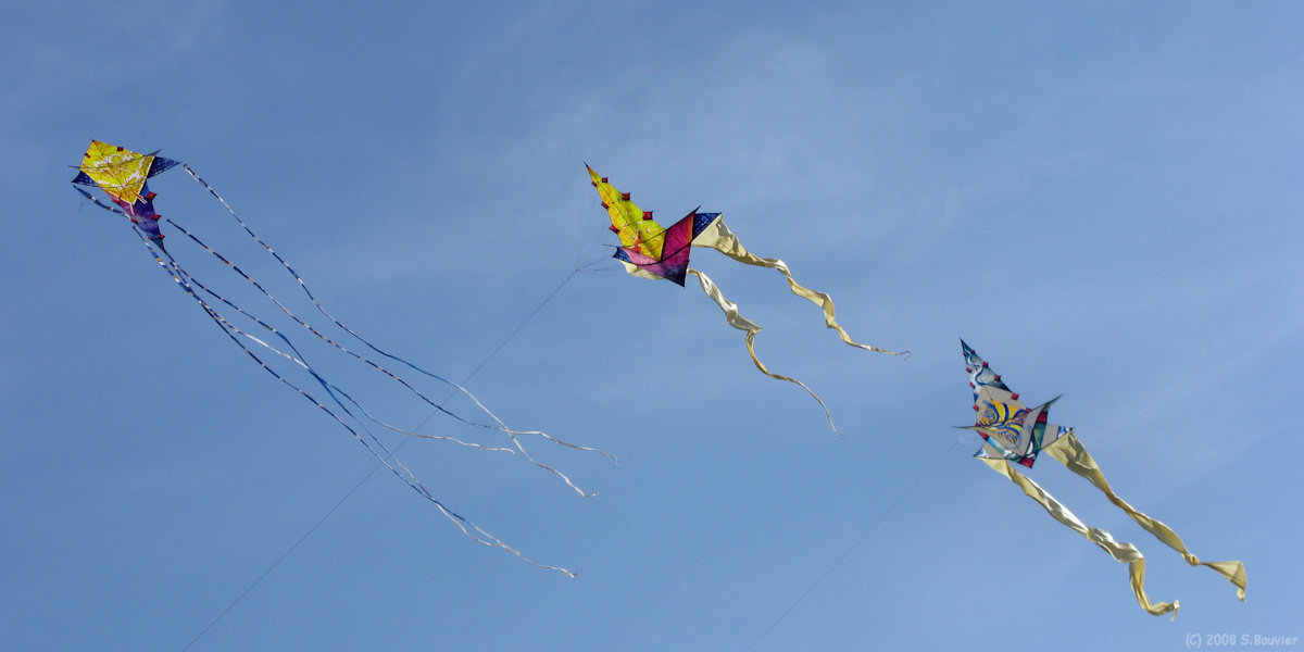 Dieppe (Cerfs-Volants 10)
