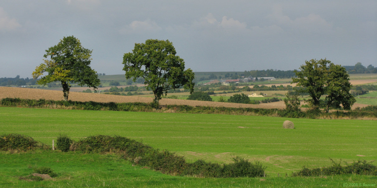Ménarval (Arbres)