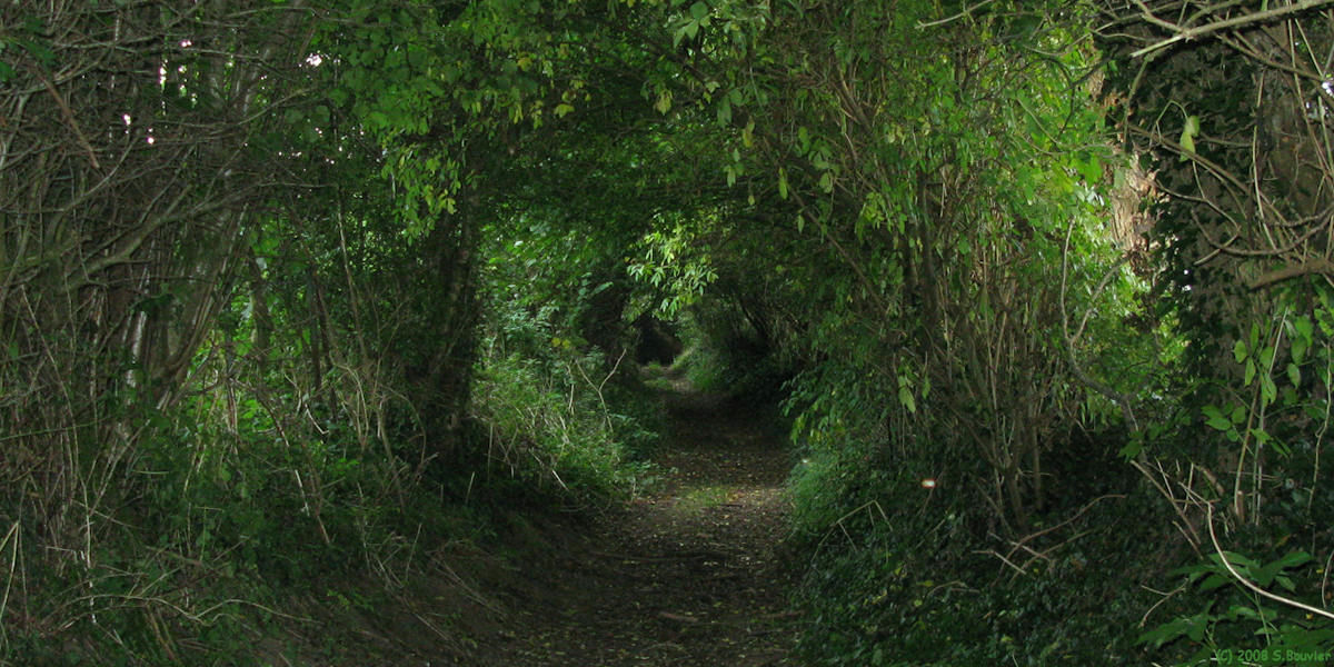 Pommereux (Chemin)