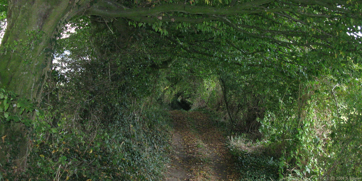 St Michel d'Halescourt (Chemin)