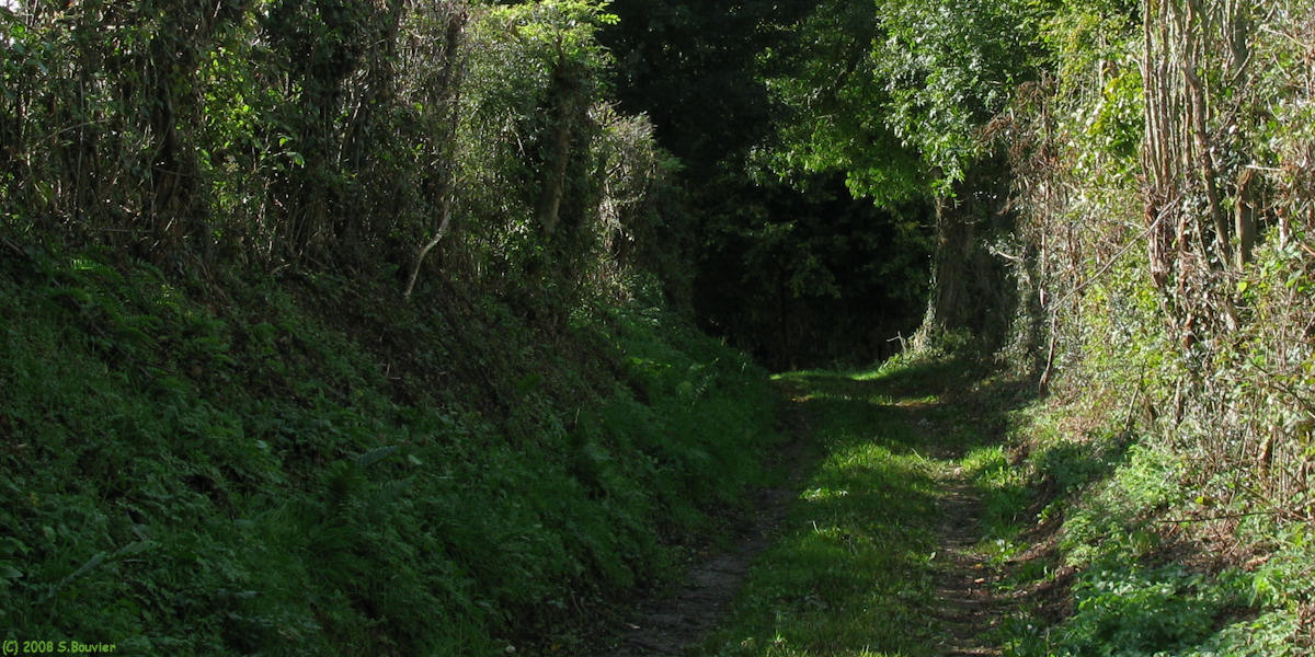 Grumesnil (Chemin)