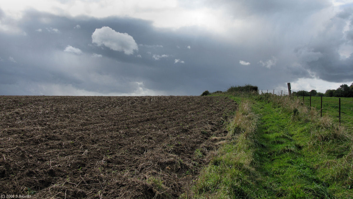 St Michel d'Halescourt (Chemin 1)