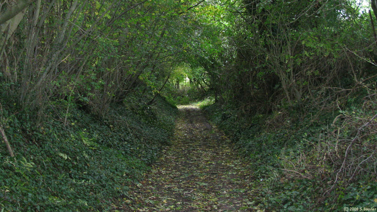 St Michel d'Halescourt (Chemin 2)