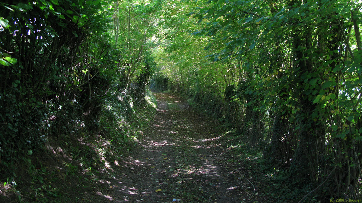 Grumesnil (Chemin 1)