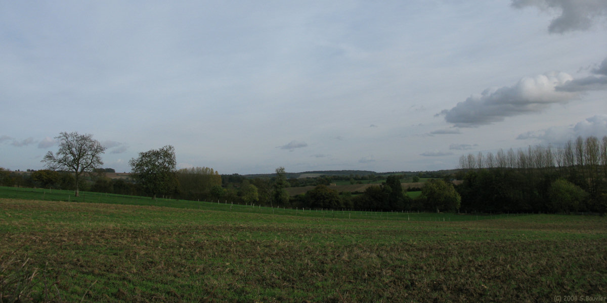 Fontenay Torcy (Champs 1)