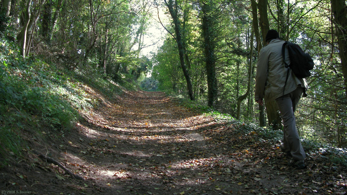 Fontenay Torcy (Chemin)