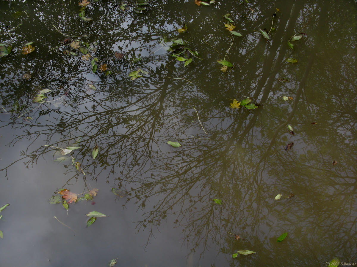 Gancourt St Eienne (Reflet)