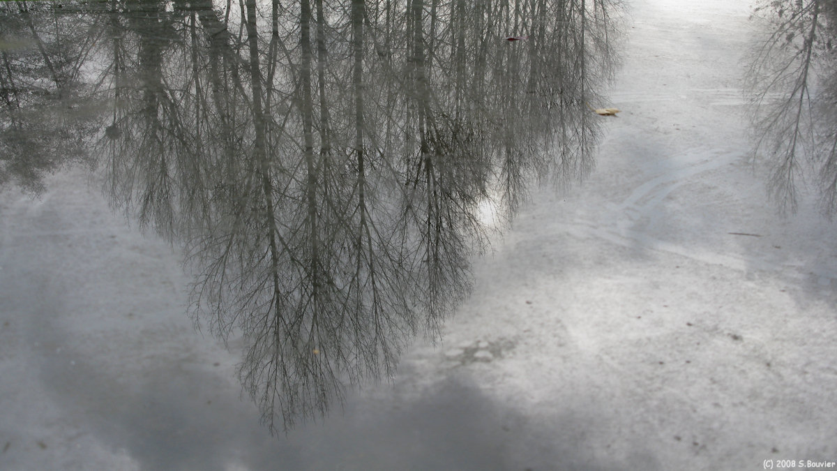 Sully (Reflet)
