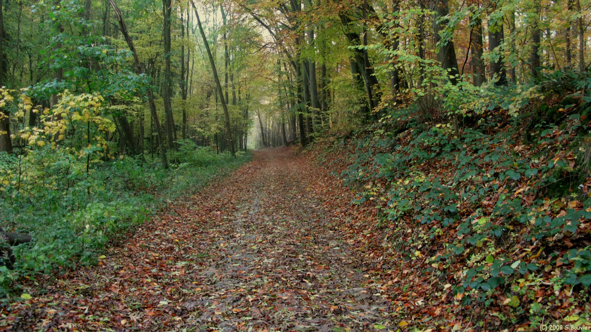 Belleuse (Chemin)