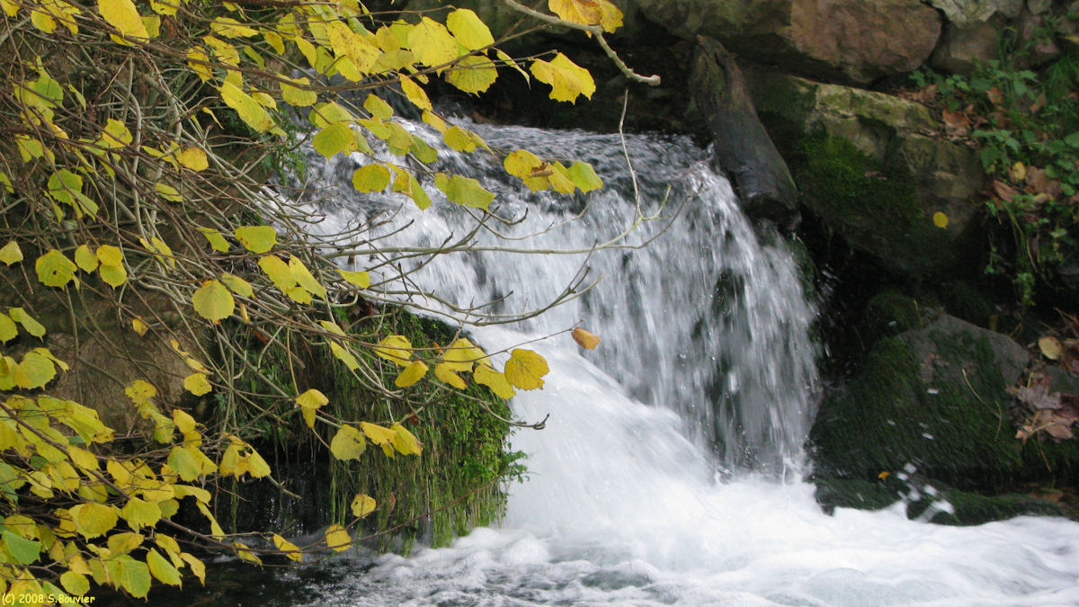 Val de Saâne (la Saâne)