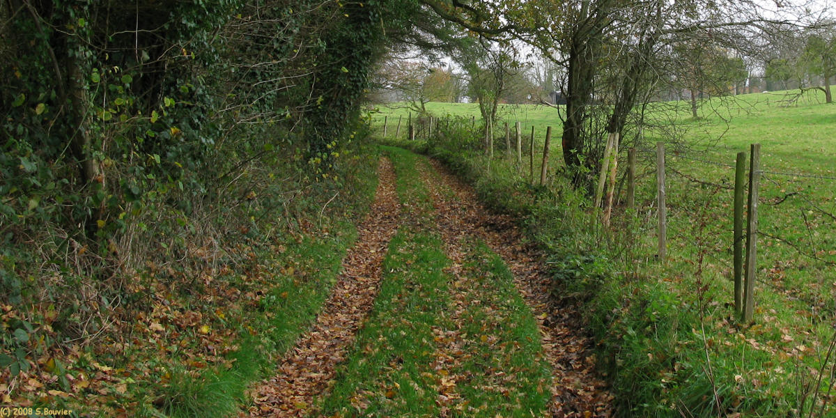 Le Bois-Robert (Chemin 3)