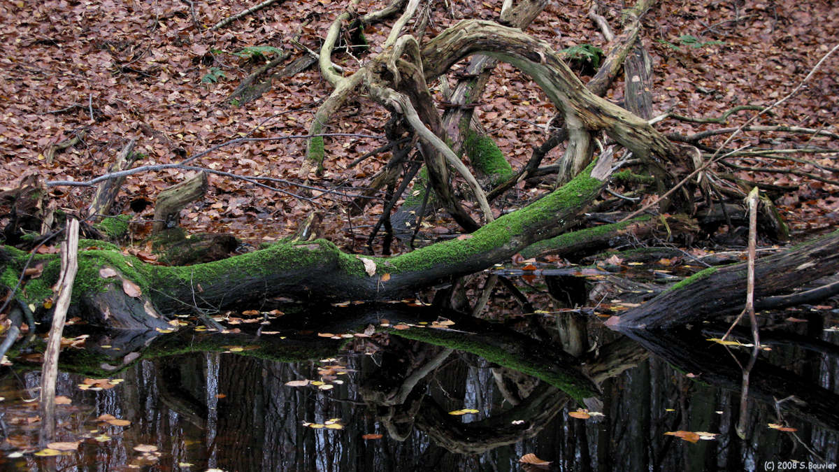 Freulleville  (Massif du Croc 1)