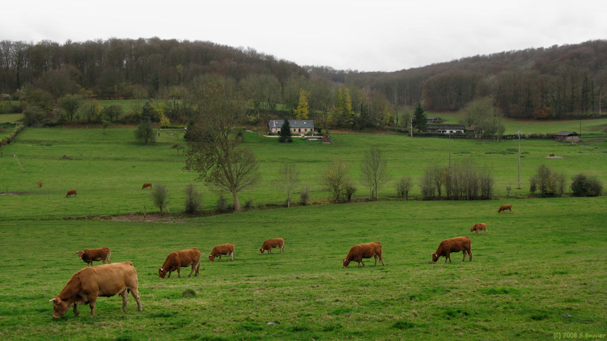 St Germain d'Etables (Fond de Meuse 3)