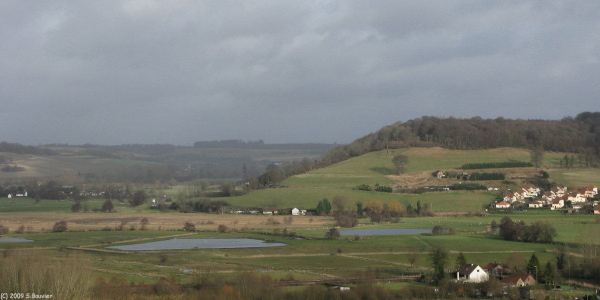 Arques la Bataille (Prairies)