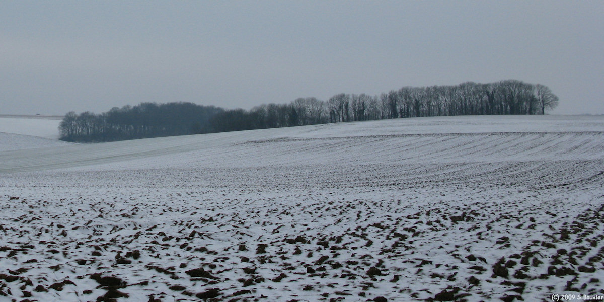 Hallencourt (Les Crupes 1)