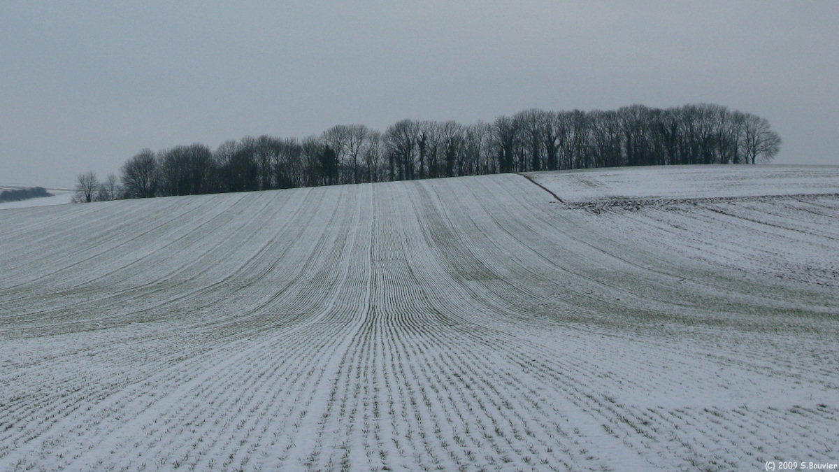 Hallencourt (Les Crupes 2)