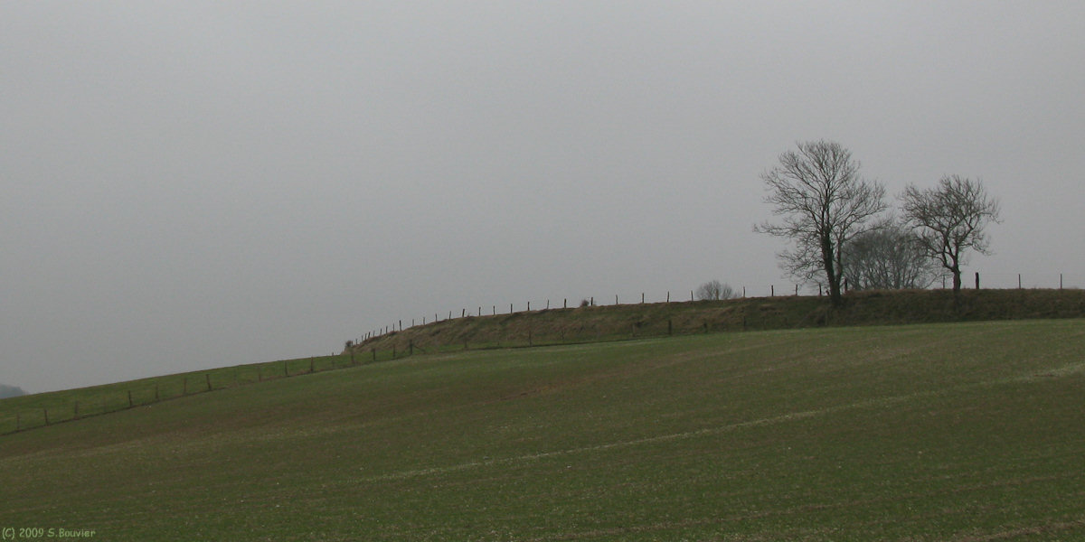 Envermeu (La Couronne)