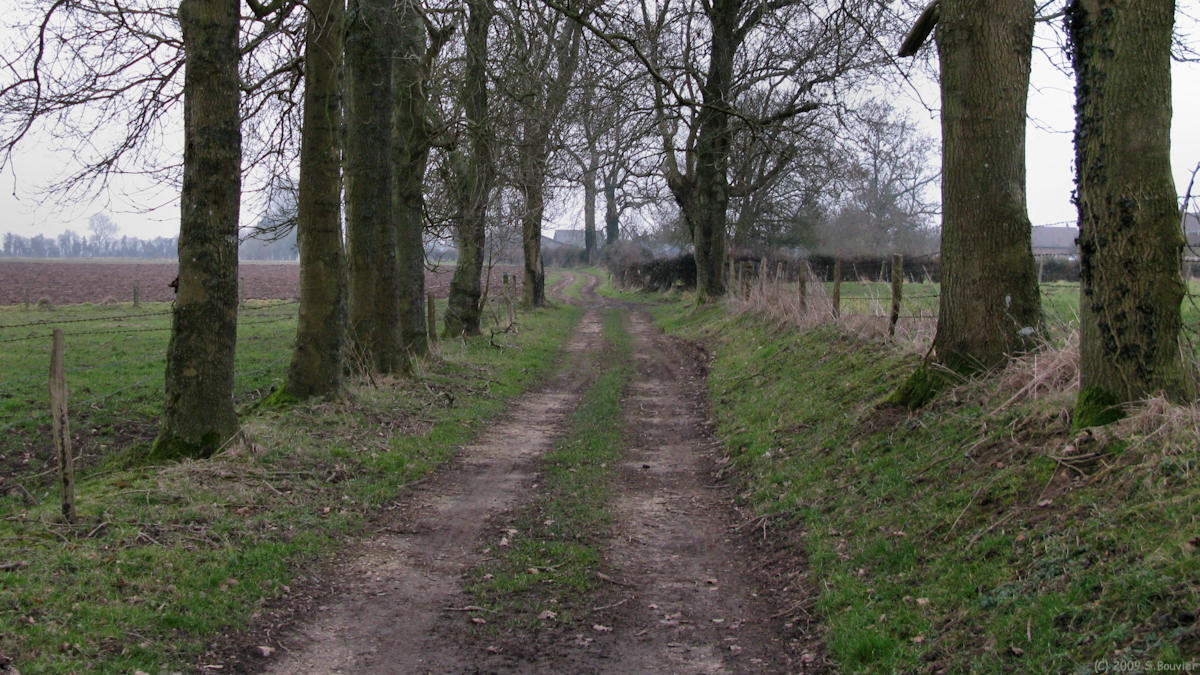 St Nicolas d'Aliermont (Chemin)