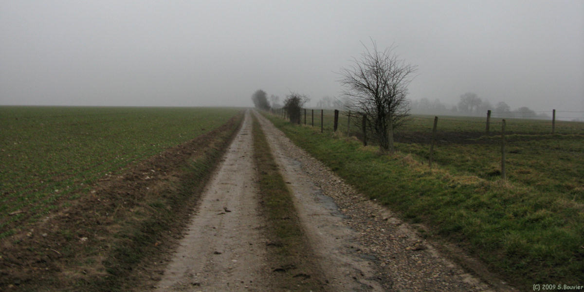Notre Dame d'Aliermont (Chemin)