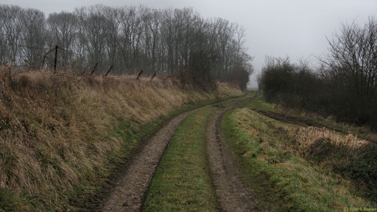 Ste Agathe d'Aliermont (Chemin)