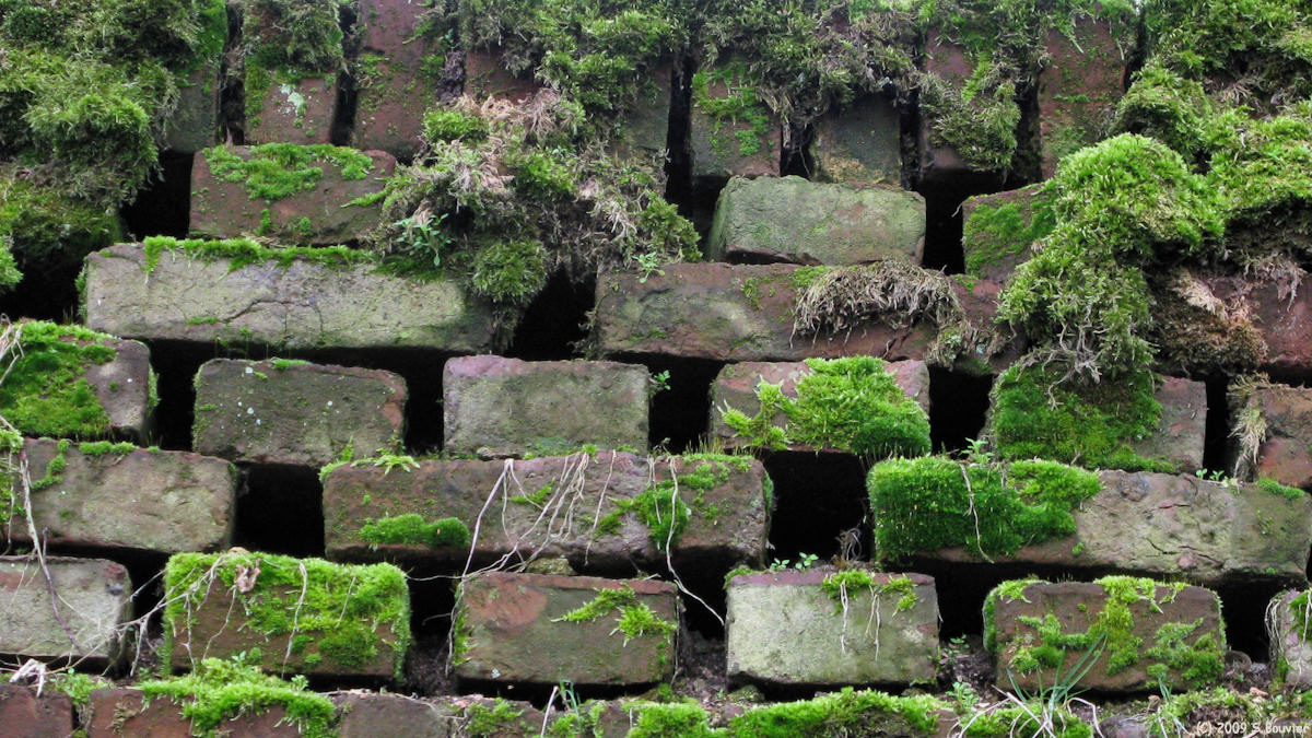 Havernas (Mur)