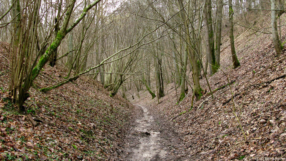 Villers Bocage (Sentier)