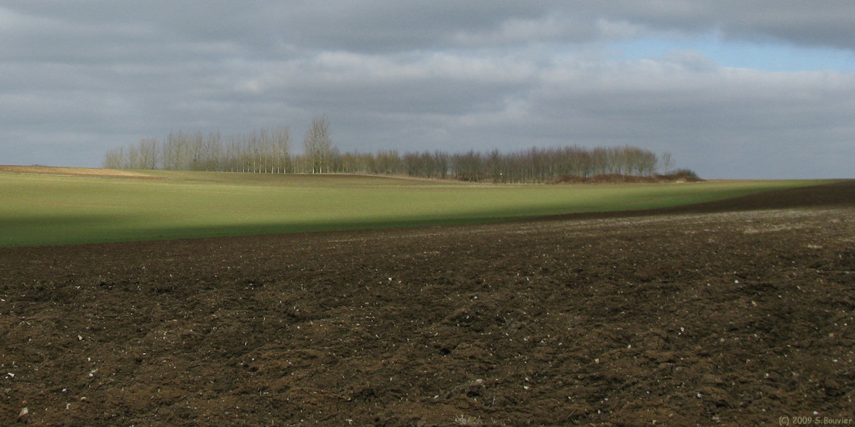 Vaux en Amiénois (Plaine)