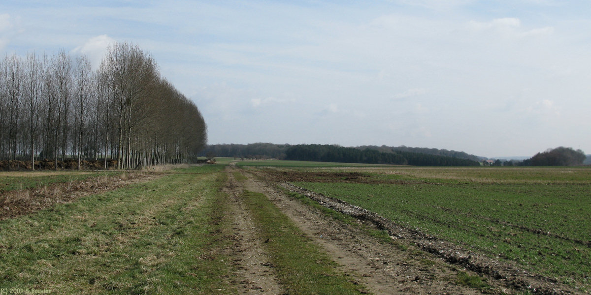 Forceville en Vimeu (Chemin)