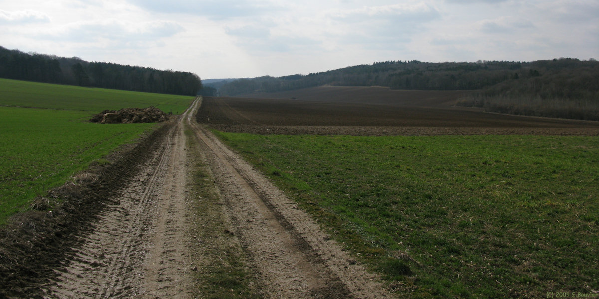 Allery (Chemin)