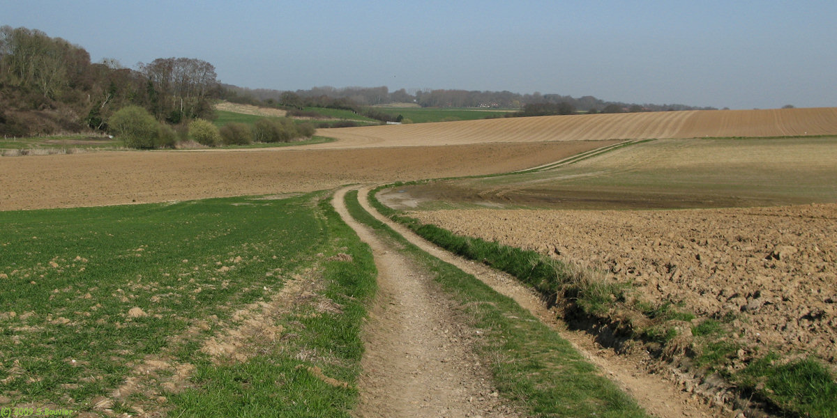 Longeuil (Chemin 2)
