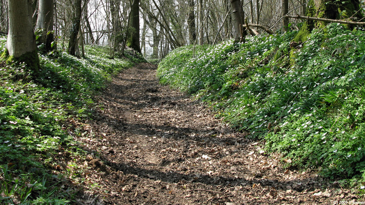 Croixdalle (Sentier)