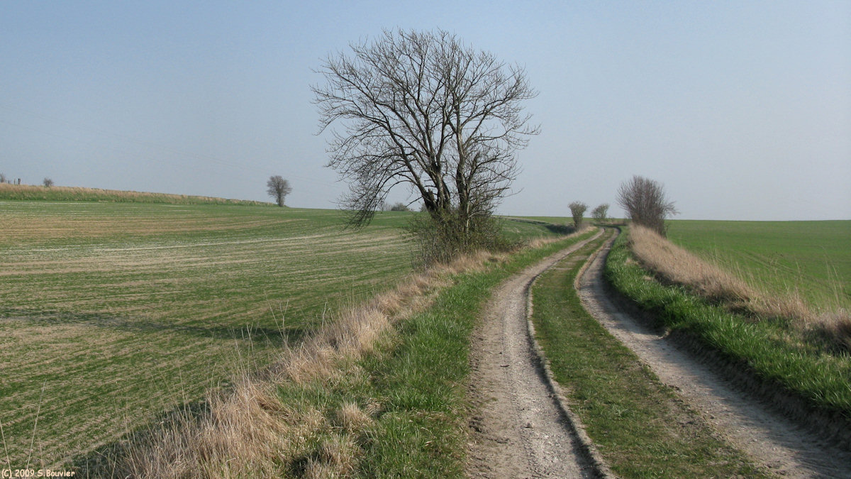 Fréauville (Chemin)
