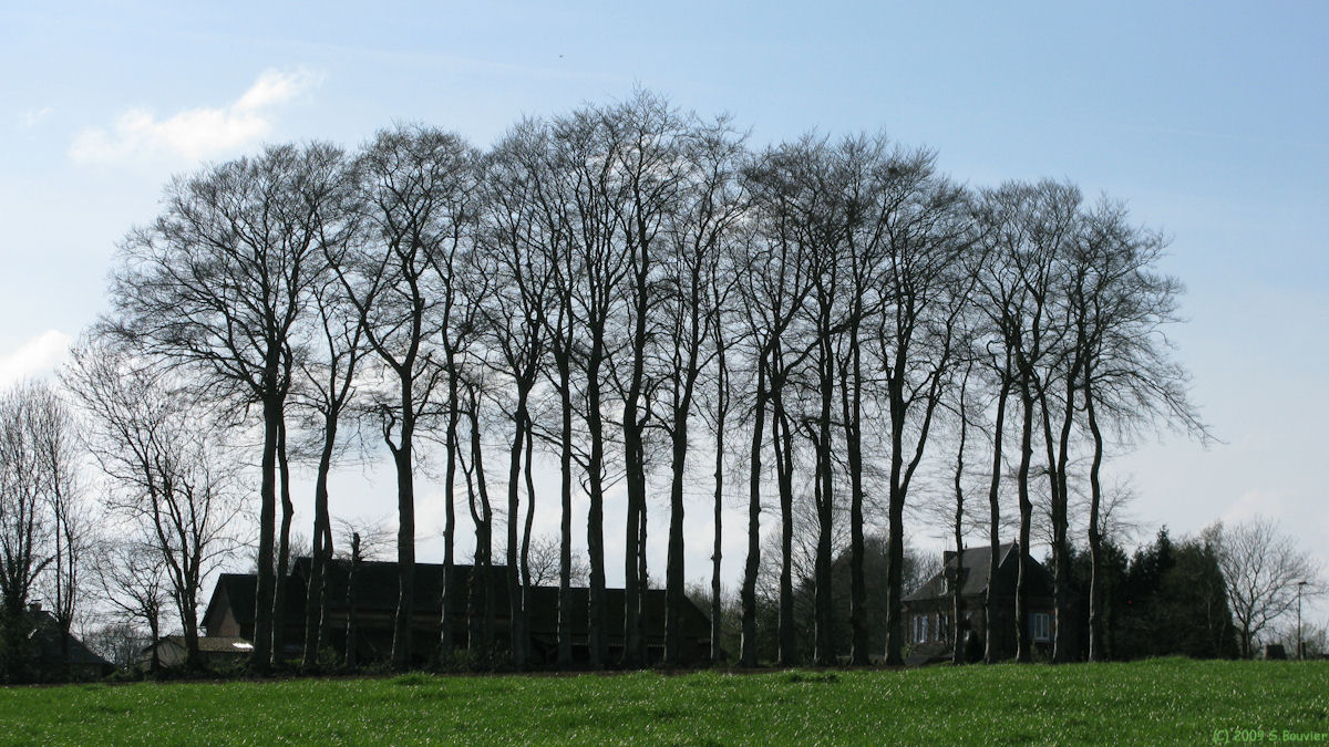 Doudeville (Maison)
