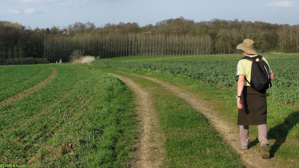 Etalleville (Chemin 1)